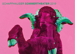 Schaffhauser Sommertheater  - Infotreffen Produktion 2019
